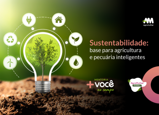 Sustentabilidade: base para agricultura e pecuária inteligentes